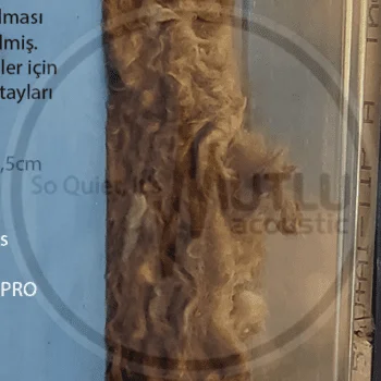 Duvar Tavan Zemin Ortak Duvar Ses Yalıtımı